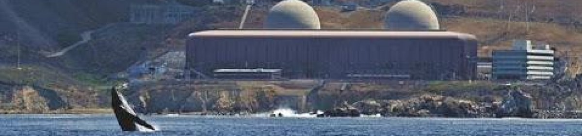 Why Nuclear; why now?